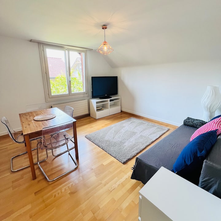 Basic Flat In Swiss Chalet - Gwatt