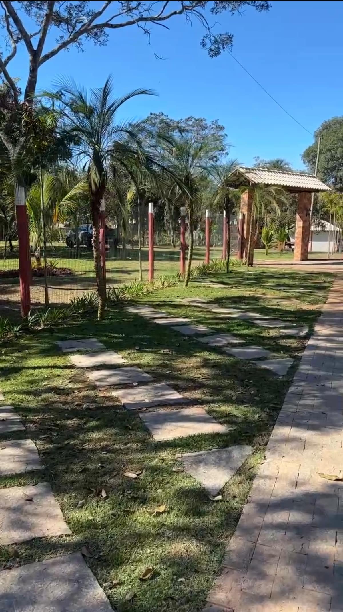 A well-maintained pathway lined with greenery is visible, leading towards a shaded area with tall palms. Sunlight filters through the trees, casting playful shadows on the manicured grass. Stone tiles create a natural path, enhancing the outdoor ambiance.