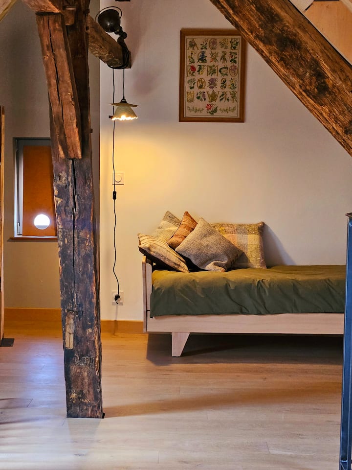 Duplex, Plein Centre - Troyes