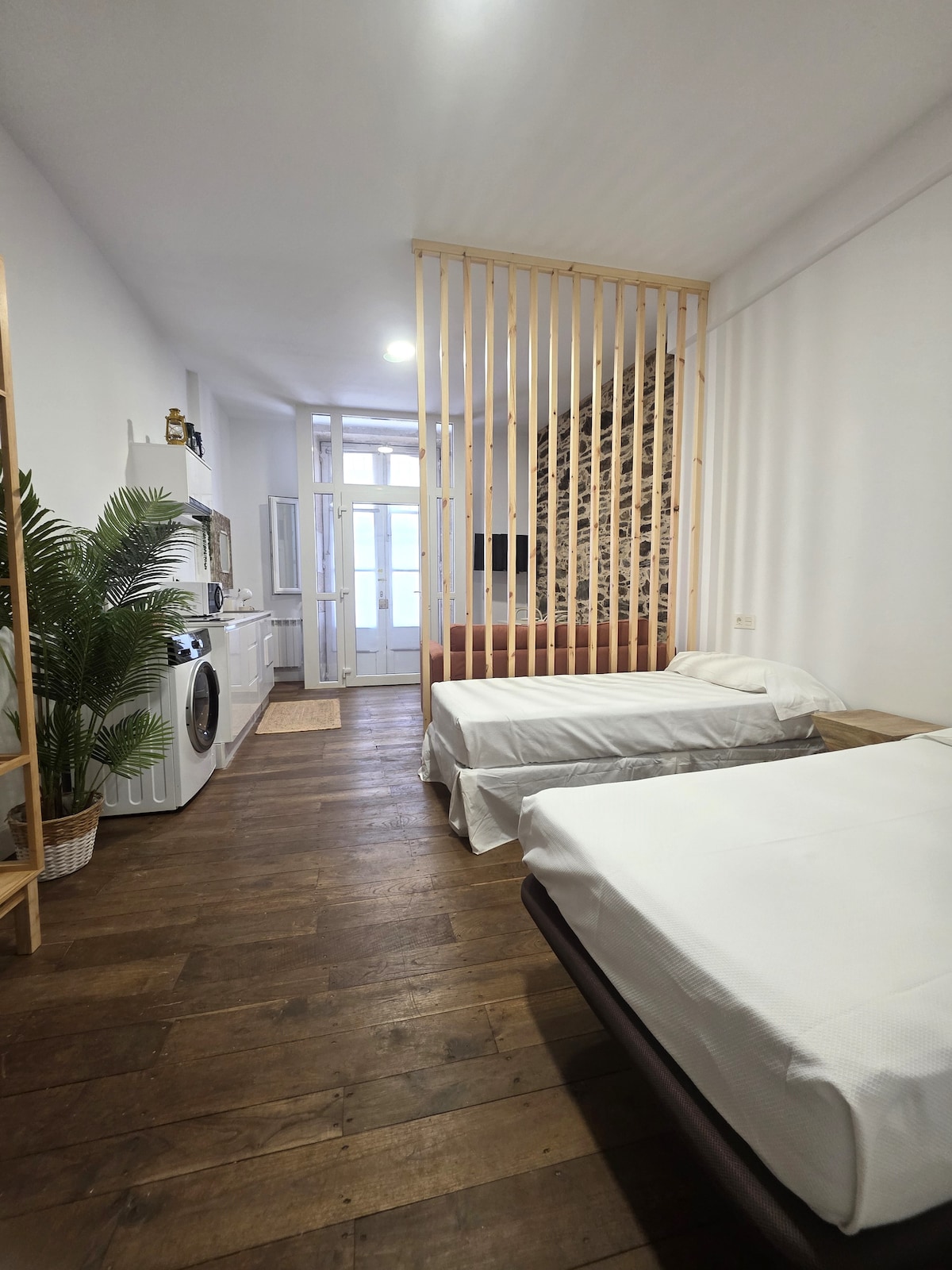 A spacious studio with two single beds positioned against a wooden feature wall. A kitchenette is visible in the background, featuring modern appliances. Light floods in through large windows, creating a bright environment. A laundry area with a washing machine is also present.