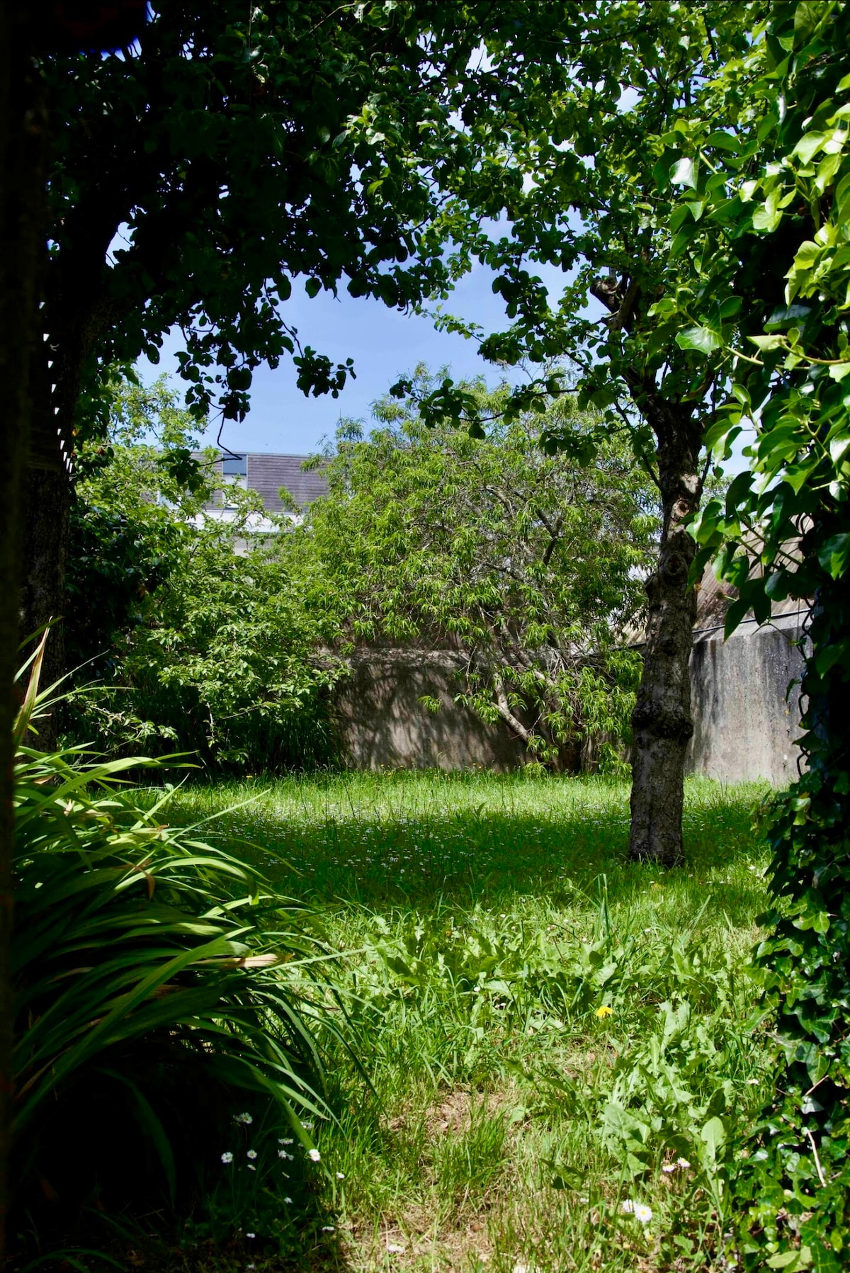 A private garden area is surrounded by lush greenery and trees, providing a natural setting. A gentle slope of grass leads towards a stone wall, creating a serene backdrop. The space is brightened by sunlight filtering through the leaves, enhancing the tranquil atmosphere.