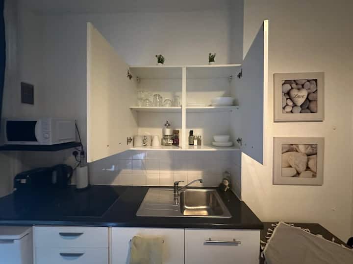 Large Studio By Hyde Park - Londra