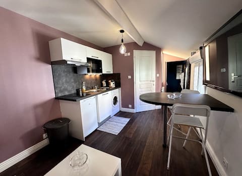 Top performing Airbnb: Quiet studio Dijon center/station in Jouvence