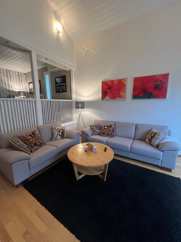 Lapland Aurora Villa - Rovaniemi