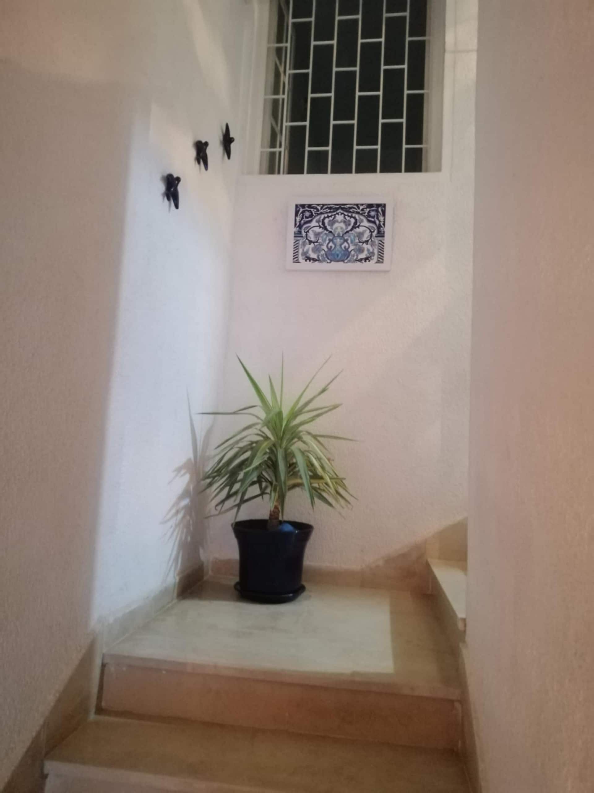 Dar Sarra