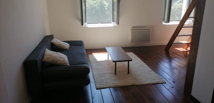 Ce Charmant Studio De 45m² Loft - Saint-Marcellin