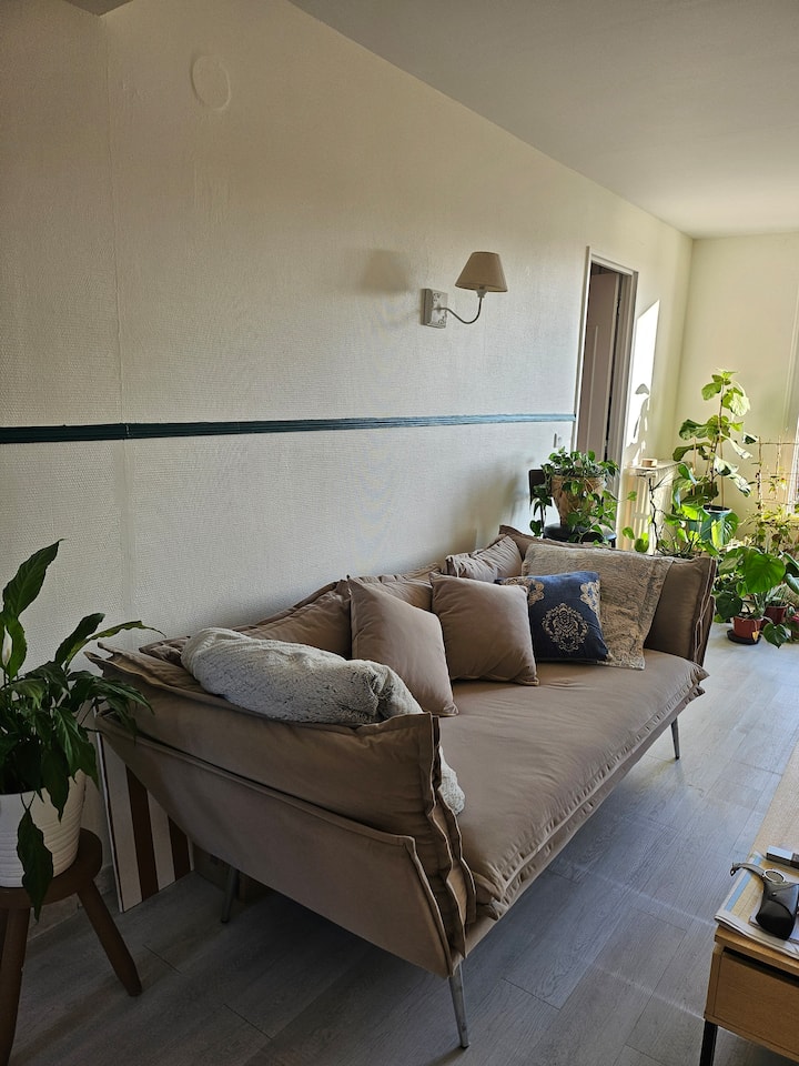 Appartement Lumineux / Balcons - Brétigny-sur-Orge