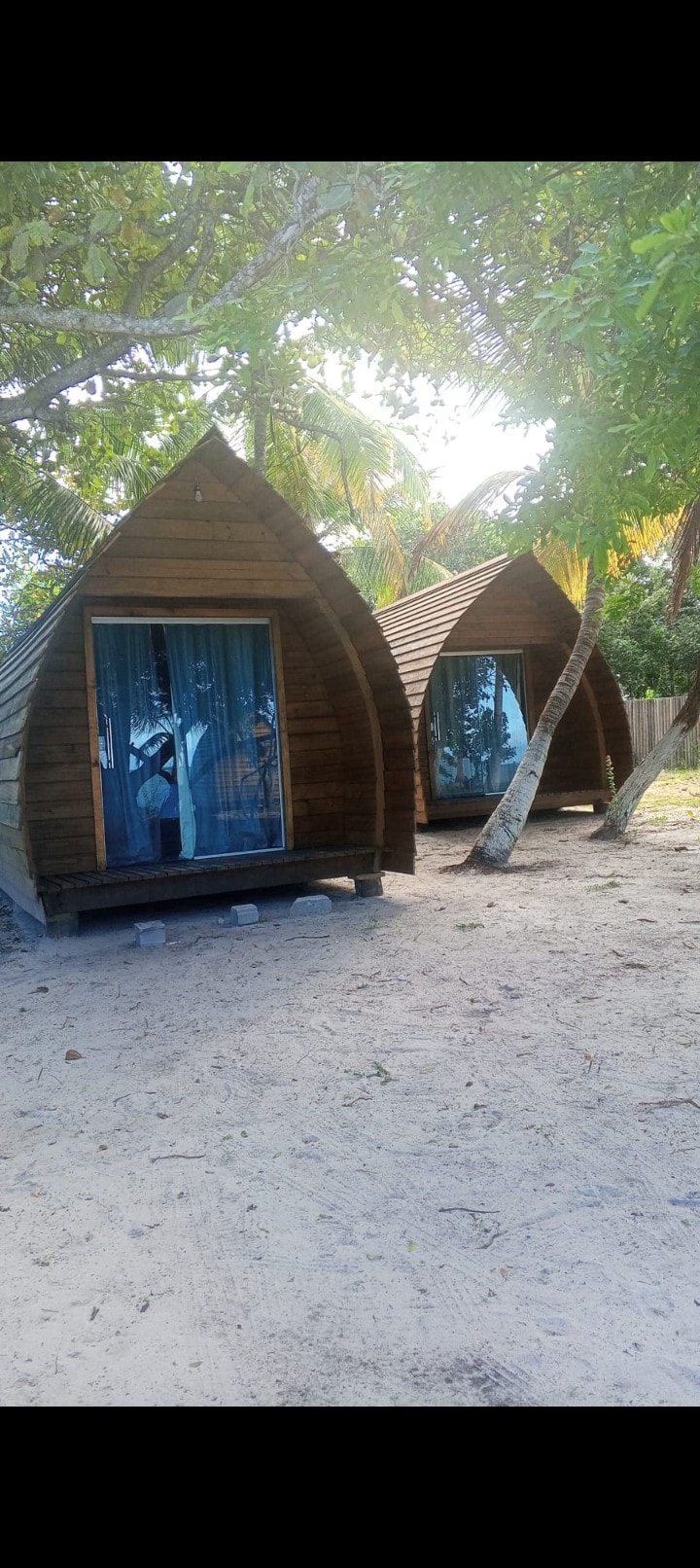 Two charming cabin-style structures with pointed roofs sit on sandy ground under the gentle shade of palm trees. Each cabin features large windows with light blue curtains, inviting natural light while ensuring privacy.