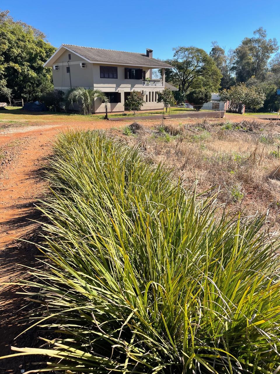 A two-story house is seen from a distance, surrounded by a landscape of dry grass and greenery. A pathway lined with tall grass leads towards the house, which features large windows and a balcony on the upper level.