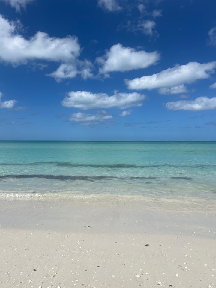 3 Bed 2 Bath Close To Beach! - Venice, FL