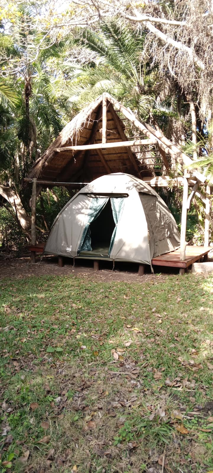 The Safari Tent - Morgans Bay