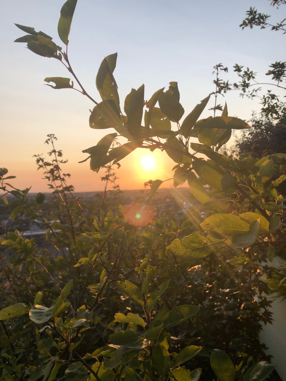 Green and in the center of Hamburg!