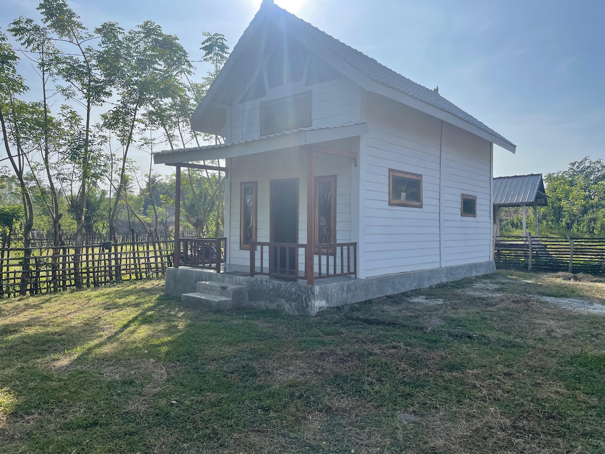 A charming house featuring a light-colored exterior and a front porch with steps leading up to the entrance. Windows are positioned symmetrically, allowing natural light into the space. Surrounding greenery enhances the setting, complemented by an open grassy area.