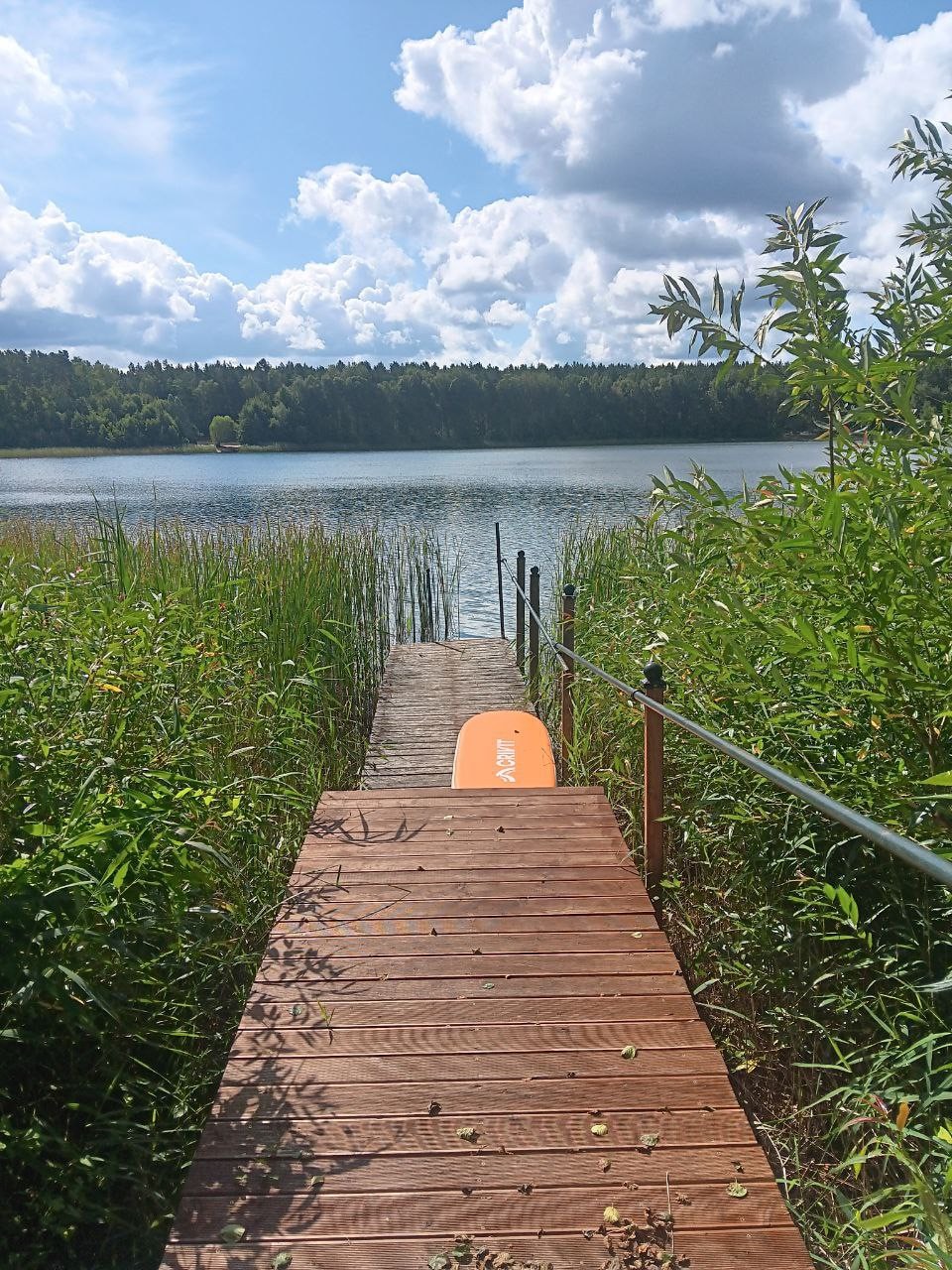 A wooden pier extends into a calm lake, bordered by tall reeds and lush greenery. A paddleboard rests on the pier, while fluffy clouds hover in a bright blue sky above. The tranquil water reflects the surrounding natural scenery.