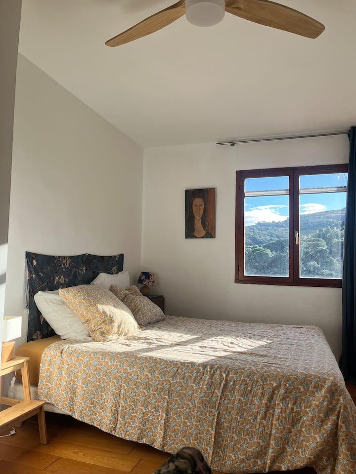 Chambre Chez Lhabitant Vignes Et Criques. - Port-Vendres