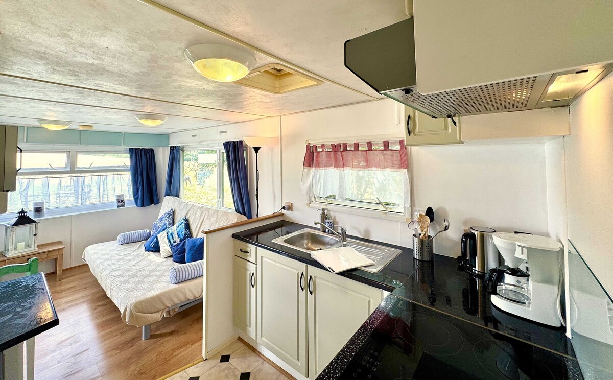 A bright living area features a fold-out sofa with decorative cushions, complemented by a well-equipped kitchen. Large windows allow natural light to flood in, framed by dark blue drapes. The countertop is neatly organized with kitchen appliances, promoting a practical yet inviting space.