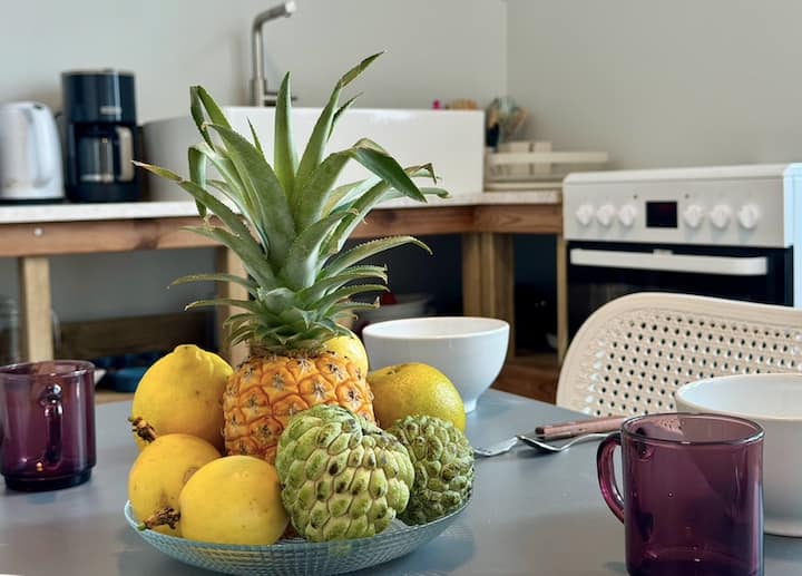 Appartement Le Tamaya - Au Coeur De Saint-pierre - Martinica