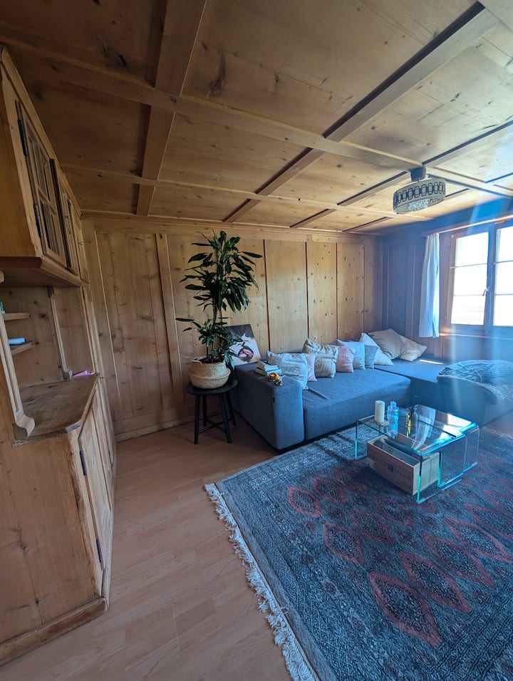 ในห้องนั่งเล่นมีโซฟาที่สามารถพับเป็นเตียงคู่ได้ ห้องพักมีเตาผิงกระเบื้องให้ความร้อนและเข้าถึงระเบียงได้โดยตรง