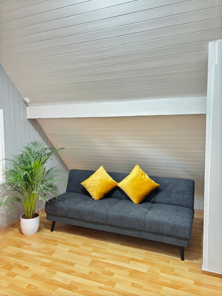 Appartement Tout éQuipé / Parking Gratuit - Renens