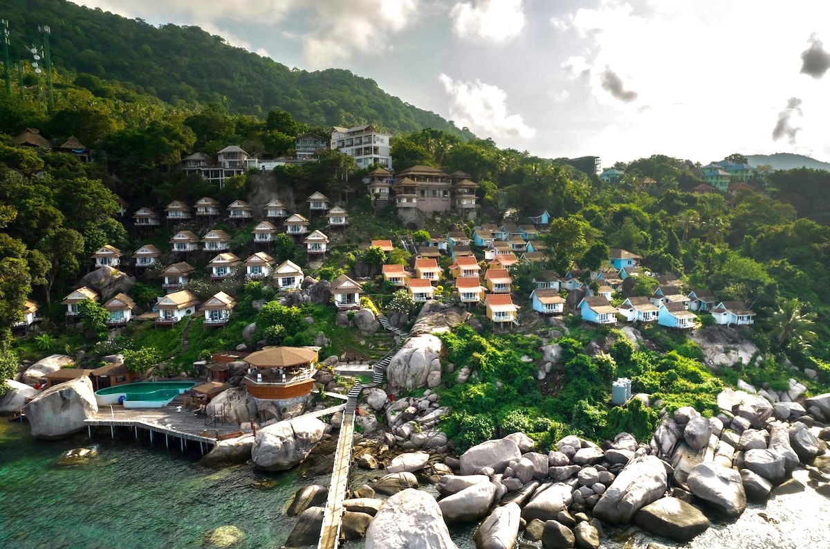 A hillside view showcases a cluster of quaint cottages with thatched roofs, surrounded by lush green foliage. A private beach and rocky shoreline are visible at the bottom, along with a swimming pool and a wooden dock extending into the water.