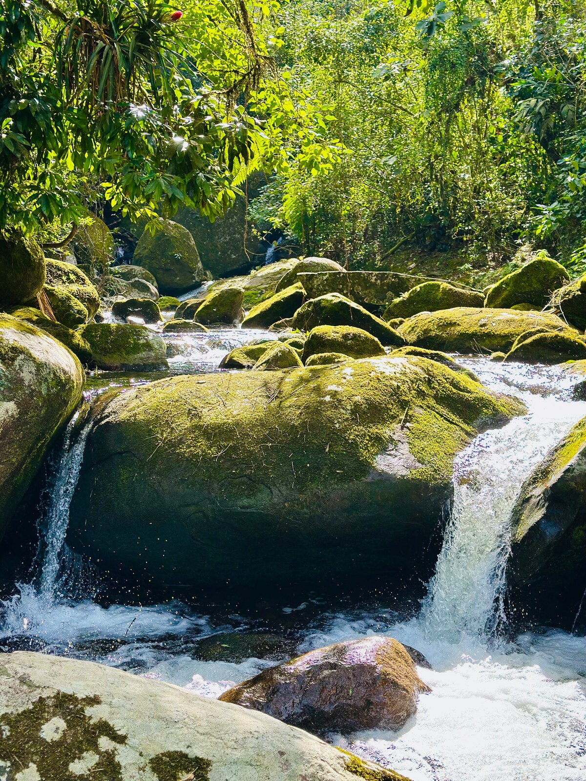 A serene natural landscape features a gently flowing stream, with water cascading over smooth, moss-covered stones. Lush greenery surrounds the area, with sunlight filtering through the trees, highlighting the tranquil setting of the private waterfall.