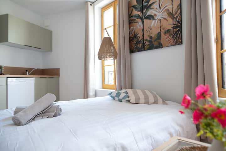 Le Phoenix - T3 Centre Ville Clim - Albi