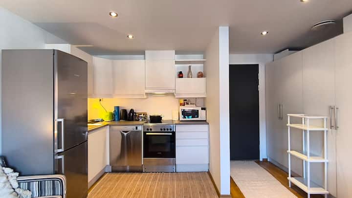Central Apartment - Oslo