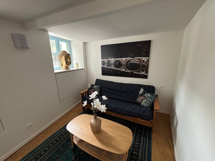 Bord Garonne Grand Et Bel Espace 2/4 Pers - Toulouse