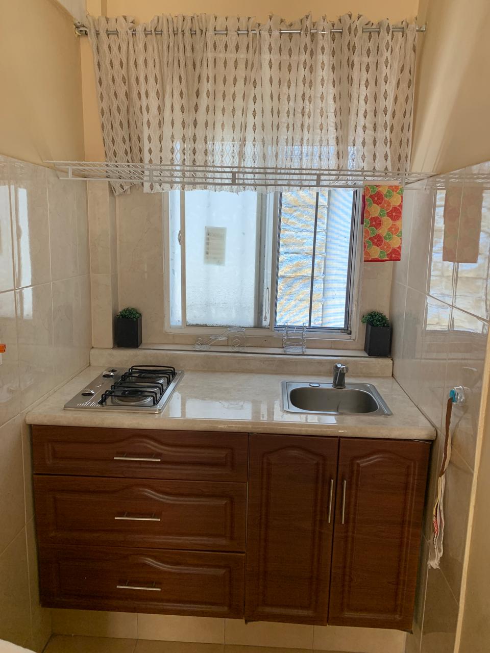A compact kitchen space features a countertop with a sink and a small gas stove. Light-colored cabinetry provides storage underneath, while a window allows natural light to fill the area. Decorative curtains frame the window, contributing to the overall functionality of the space.