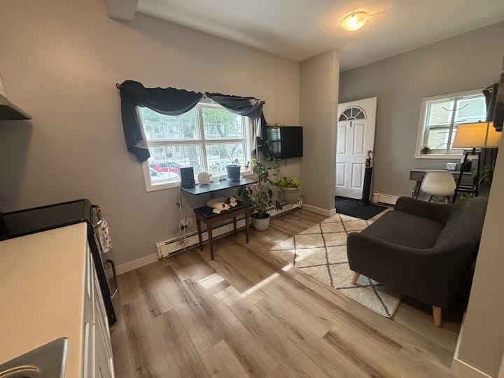 Downtown 1 Bedroom Apartment In Fourplex - Edmonton, Canada