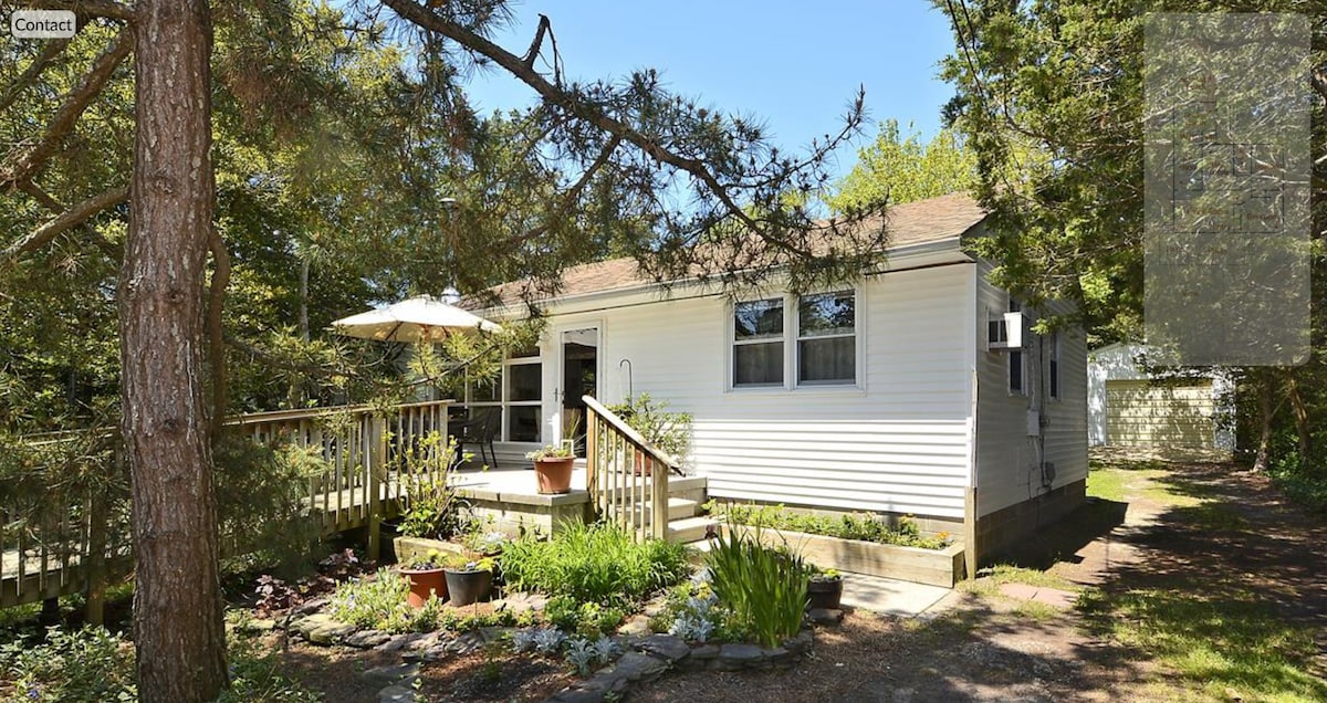 The exterior of a charming cottage is surrounded by a variety of trees and greenery. A wooden deck leads to the entrance, accompanied by a small table with an umbrella. Flower pots are placed around the deck, enhancing the inviting outdoor space.