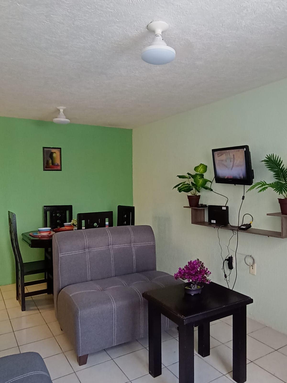 A compact living area features a gray seating arrangement positioned by a small black table. Green walls create a fresh ambiance, while a shelf displays potted plants. A television hangs on the wall, with a piece of artwork above it, contributing to the room's design.