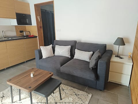 Propriété Airbnb réussie: Studio in family chalet mountain corner à Montriond