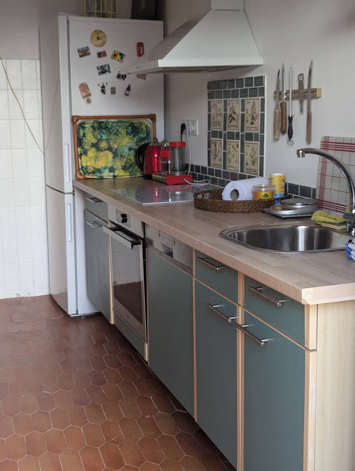 Appartement Avec Roof-top Gr20 - Calenzana