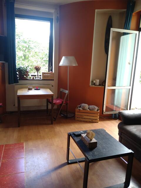 Top performing Airbnb: Apartment 1+1 with balcony in Prague in Dejvice