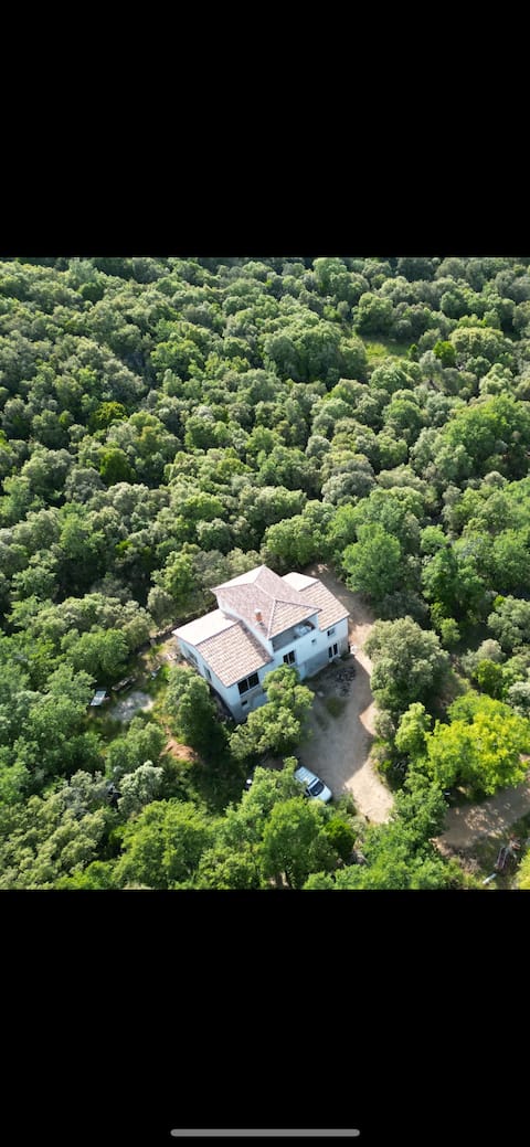 Large house in the garrigue, 12 people, total tranquility