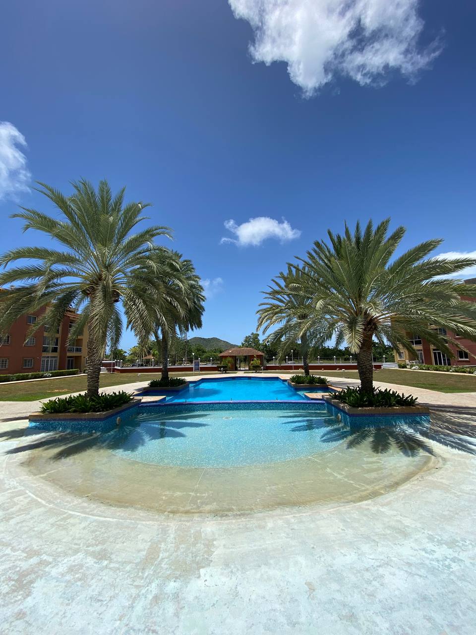 A tranquil swimming pool is framed by tall palm trees, offering a serene atmosphere. The water glistens under a clear blue sky, while lush greenery surrounds the pool area, enhancing the outdoor space's relaxing appeal.