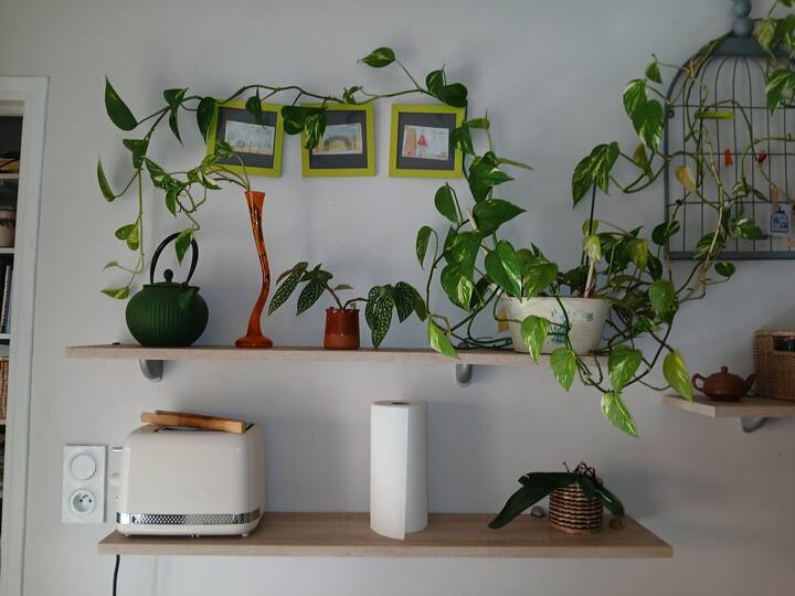 Appartement Sans Vis-à-vis - Gap