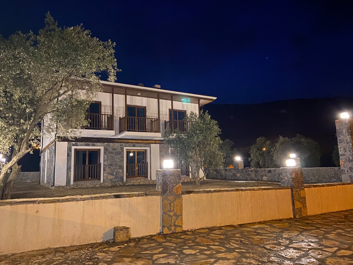 A two-story building is set against a night sky, featuring multiple balconies that overlook a stone-paved outdoor area. Illuminated landscape lighting highlights nearby olive trees, contributing to a serene environment.