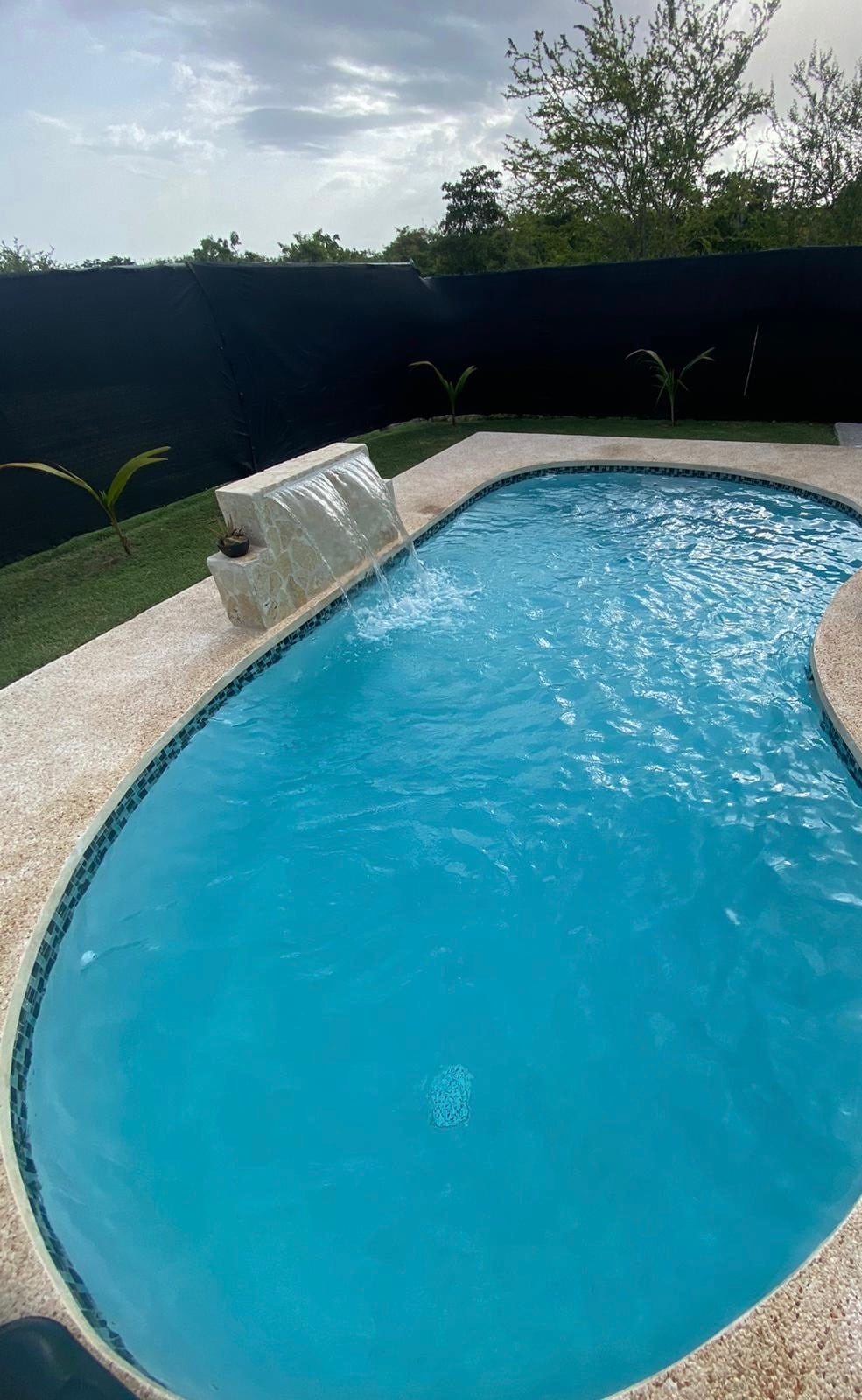 The image displays a private pool with clear, inviting water. A gentle waterfall feature enhances the tranquil ambiance. Surrounding the pool are manicured green plants and a black privacy screen, providing a secluded outdoor space for relaxation.