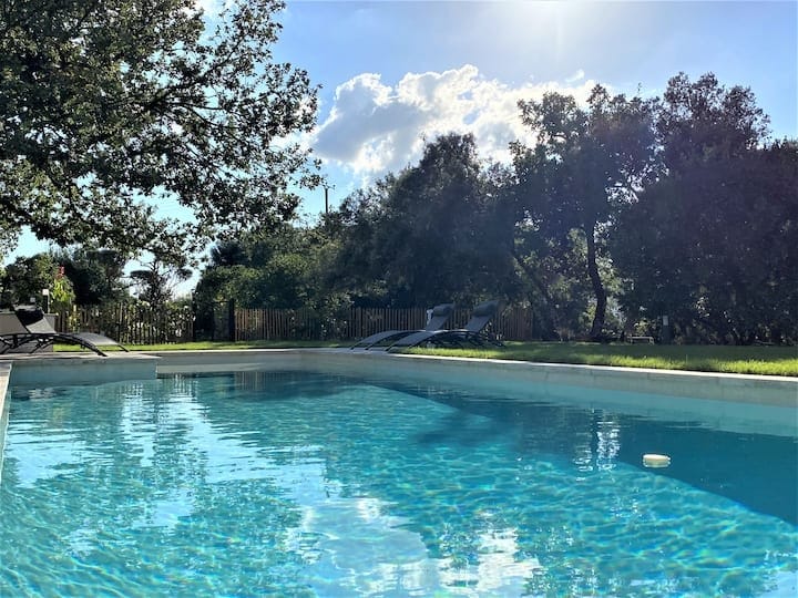 A blue swimming pool reflects sunlight under a clear sky, surrounded by greenery and wooden fencing. Sun loungers are positioned at the pool's edge, inviting relaxation. The tranquil atmosphere is enhanced by the lush trees and open lawn in the background.
