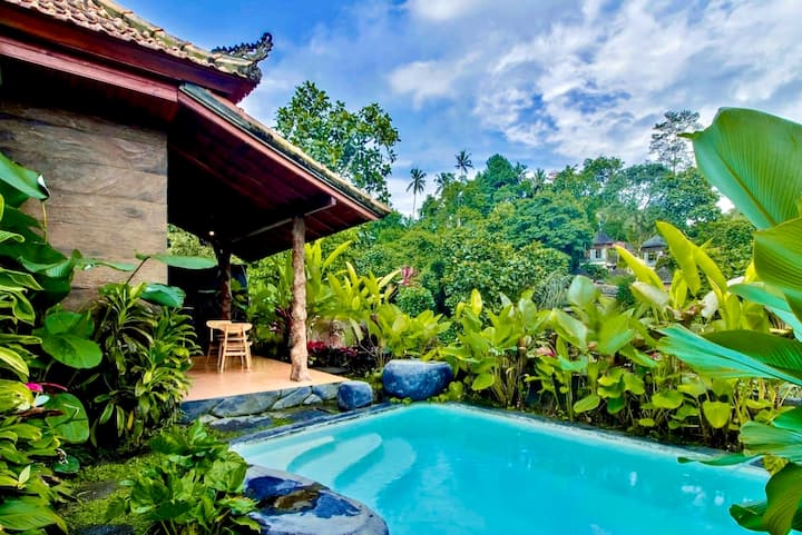 Ubud Countryside Jungle View Private Pool Vila - Ubud