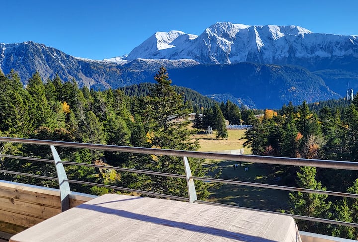 Vue éPoustouflante Agréable T3 Au Pied Des Pistes - Chamrousse