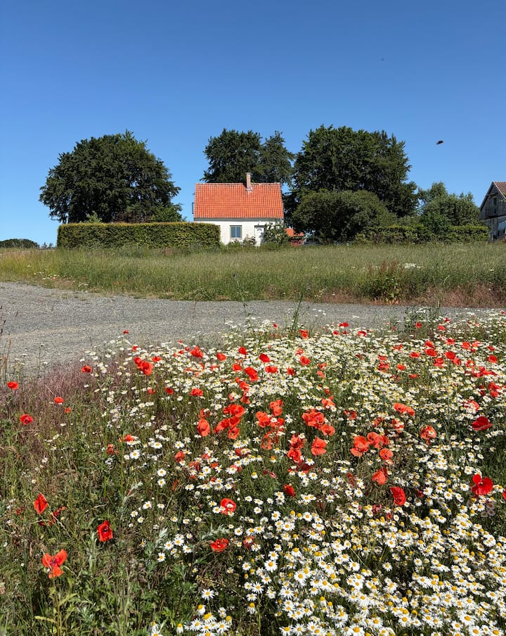 Bo Mitt I Naturen På ÖSterlen - Tomelilla