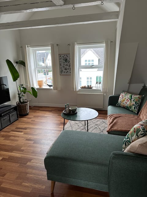 Popular Airbnb listing: Charming townhouse in Kolding