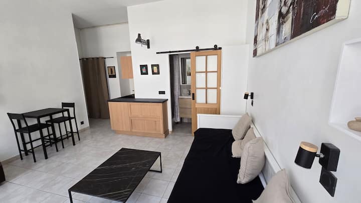 Studio César, 50 M Gare, Plages - Saint-Raphaël
