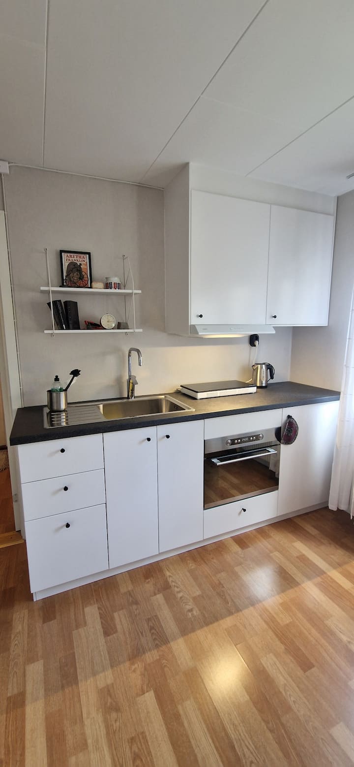 Avskärmad 1a Med Separat Ingång Och Eget Kök/dusch - Gothenburg