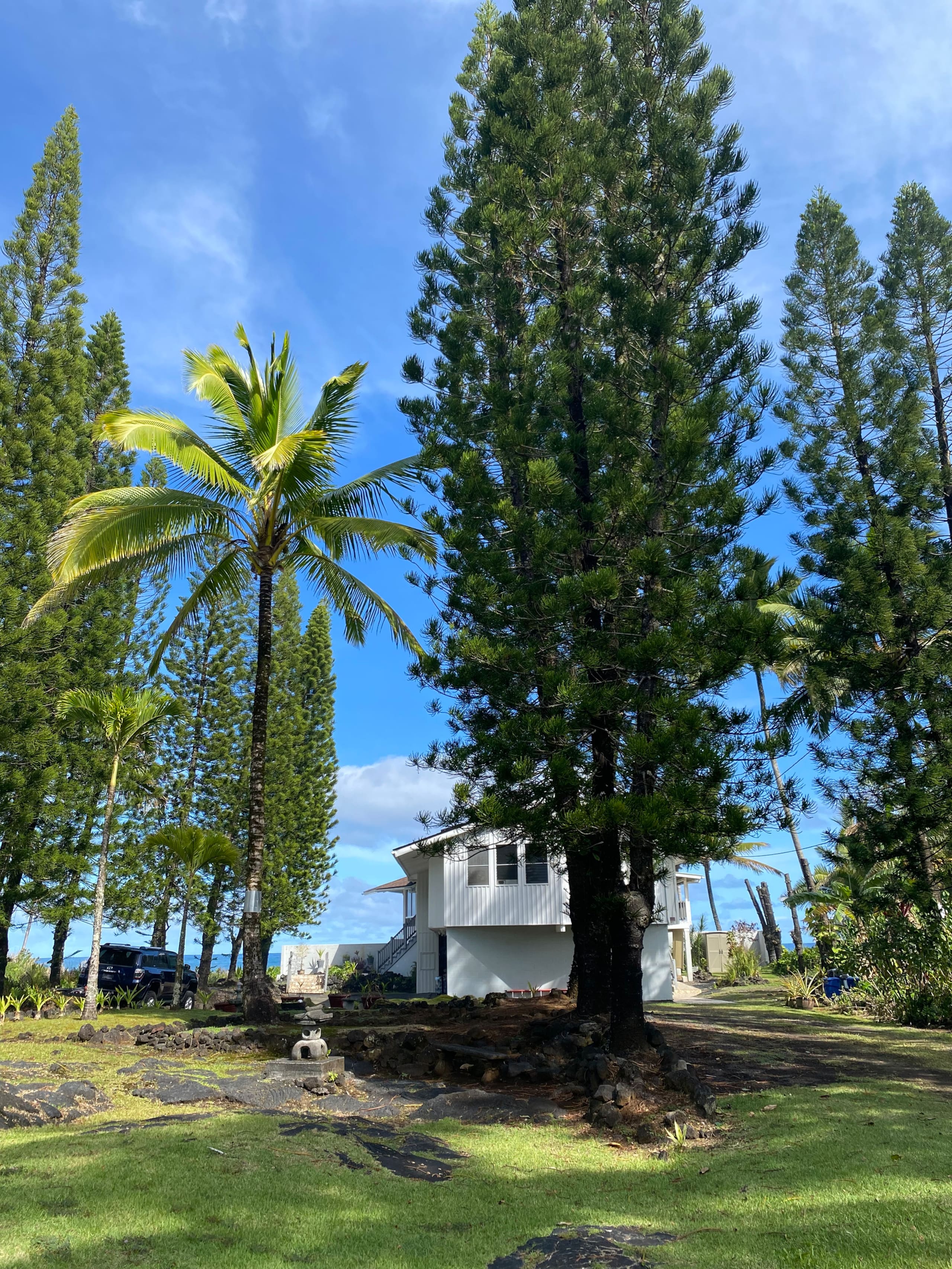 Home in Keaau · ★5.0 · 4 bedrooms · 6 beds · 2 private baths - Image 35