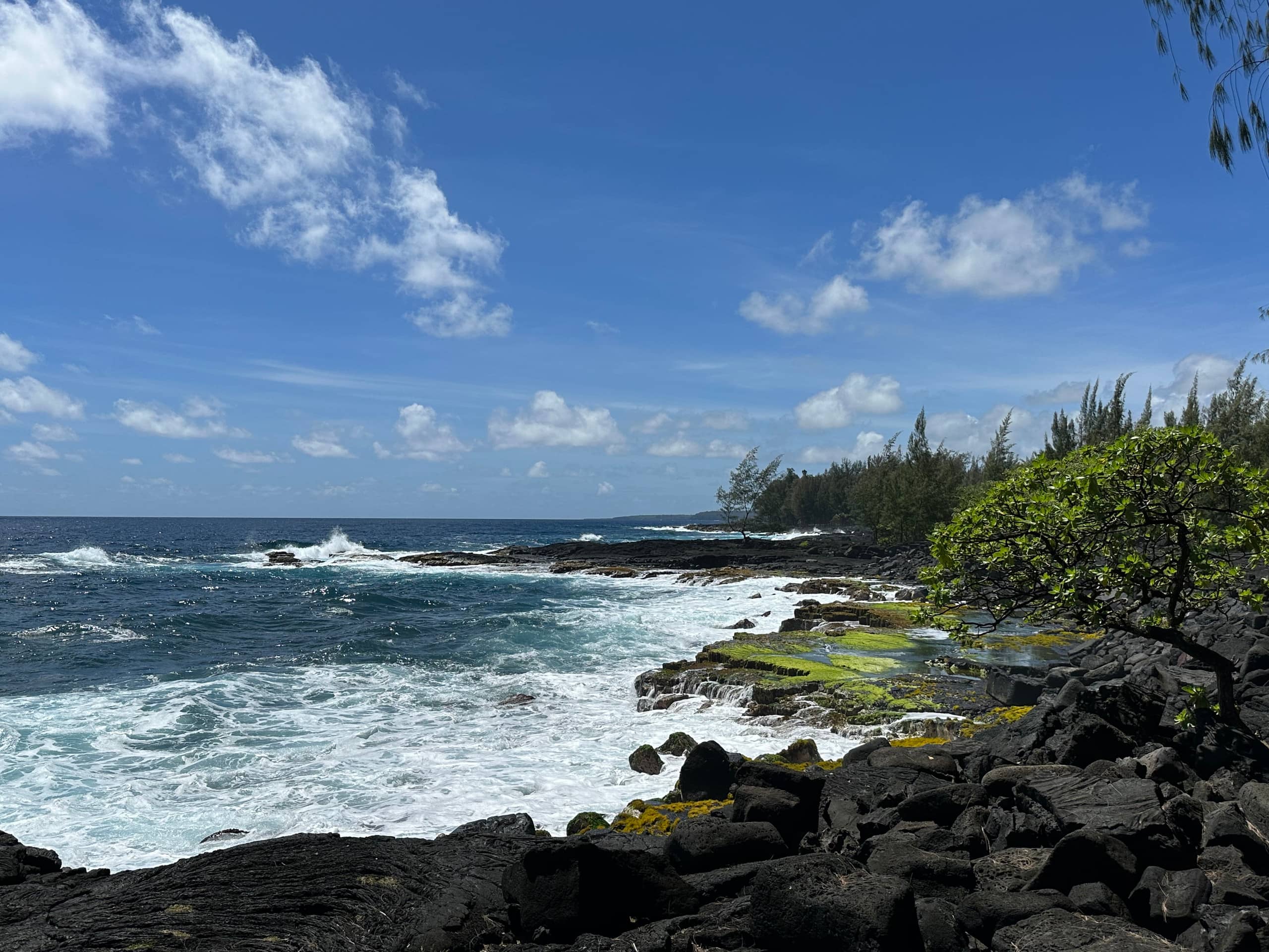 Home in Keaau · ★5.0 · 4 bedrooms · 6 beds · 2 private baths - Image 57