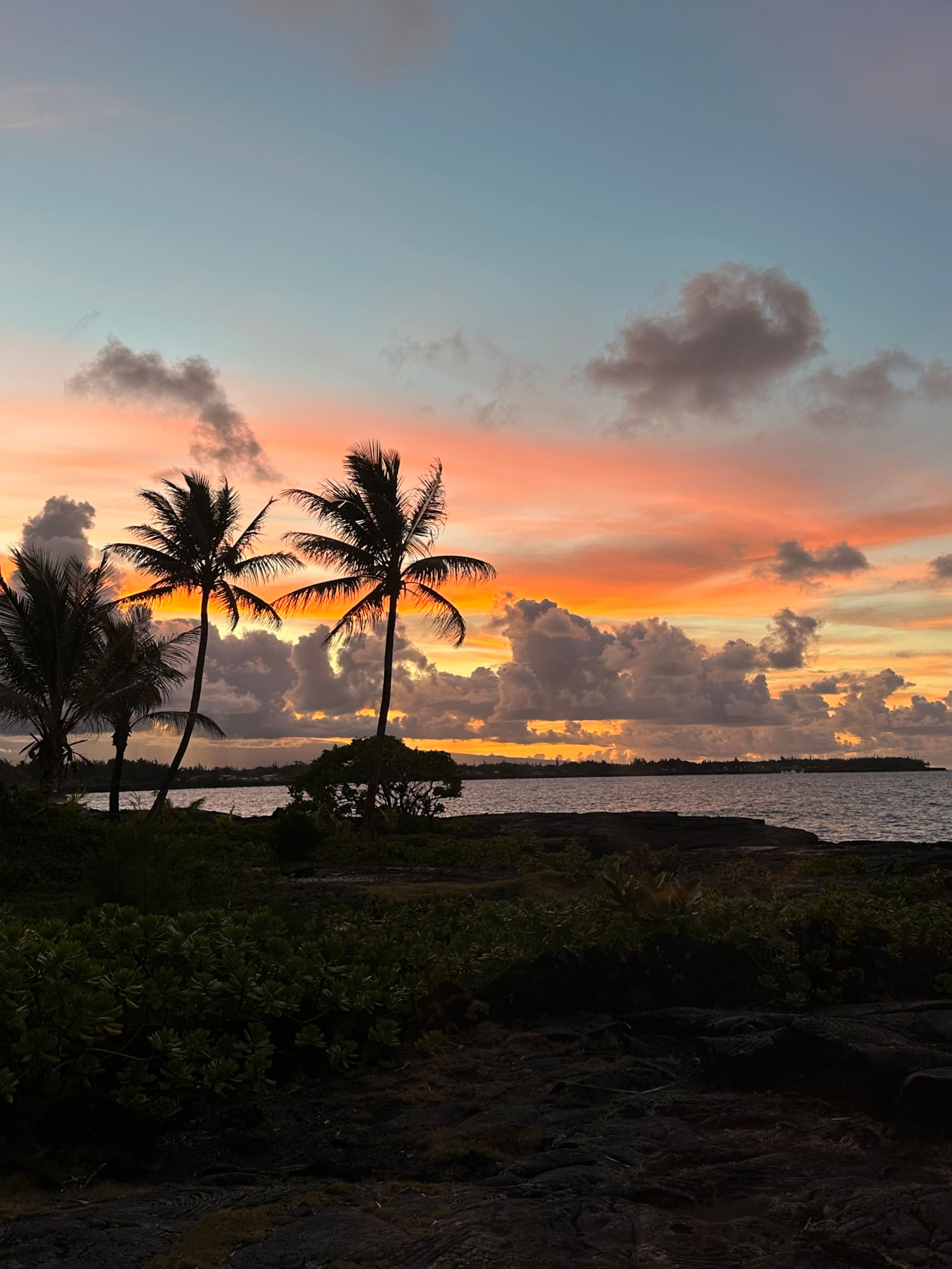 Home in Keaau · ★5.0 · 4 bedrooms · 6 beds · 2 private baths - Image 56